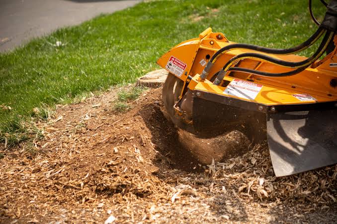 Tree stump removal service