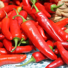 Cabe rawit yang kita tanam akan tumbuh serta keluar akar ekstra pada bagian batang yang seletah selesai dalam penanaman rawat cabe rawit dengan baik dengan cara menyiraminya secara teratur. Deaflora Chili Rawit