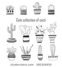 Black And White Cactus Drawing 