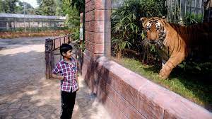 Mumbai Byculla Zoo May Open But Aviary Shut