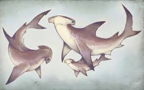 Hammerhead Sharks Family By Astral Requin I Love These Gentle Designs Yummy Earthy Stone Colours And Tex Shark Art Shark Illustration Hammerhead Shark Tattoo