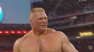 Suplex City Bitch Coub The Biggest Video Meme Platform
