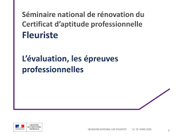 Seminaire National De Renovation Du Certificat D Aptitude Professionnelle Fleuriste L Evaluation Les Epreuves Professionnelles Chez Playmobil Sortie Ppt Telecharger