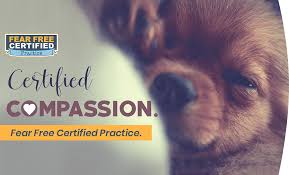 For many sheltering organizations, improving available animal housing facilities will also be an important. Animal Hospital In Cedar Lake Hanover Veterinary Hospital