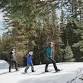 ACES Naturalist-Guided Snowshoe Tours event in Snowmass Village, CO