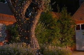 48ft globe led string light has 24 suspended sockets, 24 1w g40 led bulbs, and extra 1 spare bulb, each 2 feet apart. 50 Gorgeous Garden Lighting Ideas Loveproperty Com