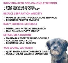 Imagine your dog with perfect manners. Dog Walking For Your Puppy Windy City Paws