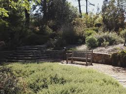 Walcott Garden Gardendrum Australian Native Garden Landscape Design Garden Inspiration