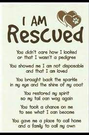 Reddit gives you the best of the internet in one place. I Am Rescued Rescue Dog Quotes Rescue Quotes Rescue Dogs