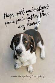 The best quality and size only with us! Top 20 International Dog Day Quotes Dog Wallpapers Dog Quotes Dog Quotes Funny Dog Quotes Dog Quotes Love