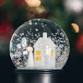 DIY Science: Snow Globes event image