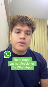 Llegan las notificaciones de WhatsApp #whatsapp #notificaciones #android  #trucosdewhatsapp #trucosparacelular