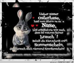 Das war die erste seite aus: Witzige Ostergrusse Bilder Bilder Und Spruche Fur Whatsapp Und Facebook Kostenlos