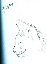 See side profile stock video clips. Side Profile Of Cat By Katyapryde On Deviantart