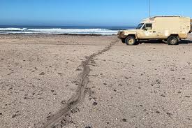 Stander, a scientist who has spent over 35 years studying the desert lions of namibia. Coastal Lions Overview Desert Lion Conservation