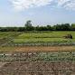 Mary Jane Cooks at Middlebrook Farm Spring Class