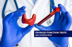Image result for Thyroid Function Test