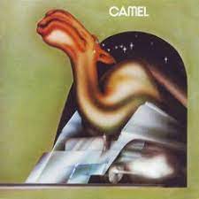 Ava max my head and my heart. Camel