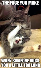 Funny Animal Pictures Of The Day 27 Pics Funny Animal Pictures Animal Humour Funny Animals