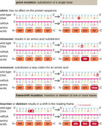 2 pogil™ activities for ap* biology. 12 5 Mutations Microbiology Canadian Edition