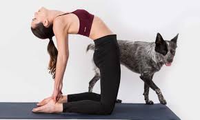 I Thought It Was Now Or Never How I Got Fit After Turning 50 Get Fit Easy Workouts Adriene Mishler