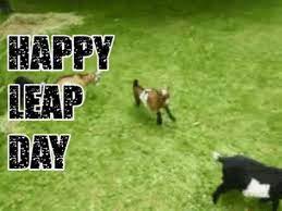 Find Share On Giphy Happy Leap Day Gif