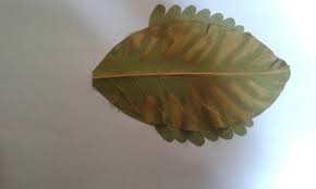 Daun kering yang telah digunting ditempel menggunakan. Seni Rupa Untuk Anak Usia Dini Hasil Karya Kolase Dan Montase