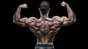 Exercising your back will improve muscle definition, posture and core strength, helping to prevent injury. The Bigger Stronger Back Workout Muscle Fitness
