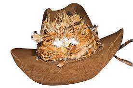 Cowboy Hat With Feathers Photograph By Susan Leggett