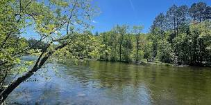 Pine River Paddle: 2026 Loons & Lakes Festival