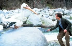 Check spelling or type a new query. 33 Cult Classic Movies Of The 90s Perfect For Family Night Cafemom Com
