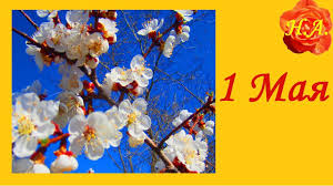 Традиционно в этот день устраивают митинги, парады, демонстрации, а еще приводят в порядок дачные участки, грядки. S Prazdnikom 1 Maya Pozdravlenie Druzej Youtube