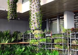 Patric Blanc Perez Art Musuem Hanging Vertical Garden Vertical Garden Hanging Garden Green Wall