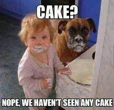 Cake Funny Baby And Dog Meme Funny Babies Cute Animals