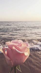 We did not find results for: Summer Aesthetic Wallpaper Iphone Wallpaper Enjpg