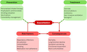 Image result for COPD Exacerbation Prevention