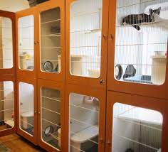 Check spelling or type a new query. Do You Have Doubts About Boarding Your Cat Let S Dispel Them Cat Care Of Vinings