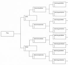 Minnesota Family History Research Pedigree Charts Not Just