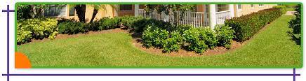 For residential & commercial landscaping services in bradenton, fl call action property maintenance llc. Lawn Maintenance Yard Care Services In Bradenton Turf Fox