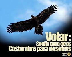 Vamos America Volar Sueno Para Otros Costumbre Para Nosotros Aguilas Del America Club America Equipo De Futbol