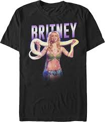 Image result for britney spears python