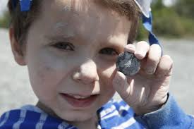 100 Things Plus: Dig for fossils at Penn Dixie