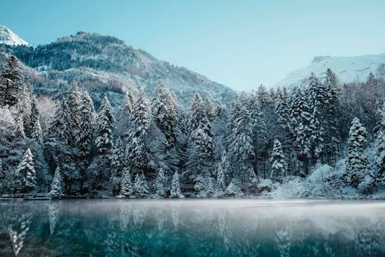 Cold Winter Pictures | Download Free Images on Unsplash