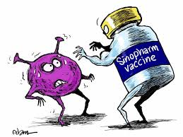 Connect with them on dribbble; Cartoon Sinopharm S Jab Approved In The Uae Cartoons Gulf News