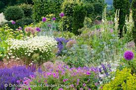 Mixed Border Planting Design Herbaceous Allium Salvia Achillia Stachys Echinops Beautiful Gardens Sensory Garden Allium Garden