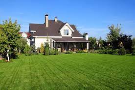 A bright window will help, but if you still see the grass not thriving, you can supplement light by using a lamp with a fluorescent bulb nearby. How Long Does Grass Live Natural Grass Vs Artificial Turf