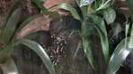 Berkenhof Kwadendamme - YouTube