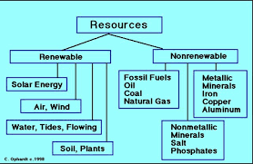 Pin By Lumpy Space Princess On Natural Resources Nonrenewable Resources Natural Resources Lesson Science Resources