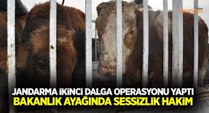 Genc Ciftcideki Yolsuzlukta Ikinci Dalga Dalga Ciftci Bitki
