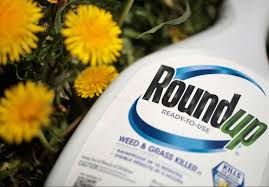 Not only are chemical weed killers toxic to wildlife, they are also toxic to pets and children. What To Know About Glyphosate The Pesticide In Roundup Weed Killer National News Us News